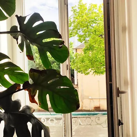 Votre Escale - Magellan Cinema